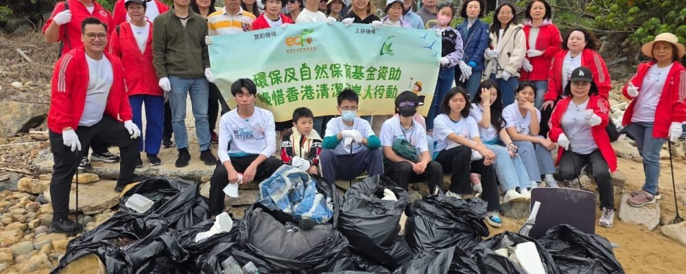 WhatsApp Image 2025-03-10 at 21.21.33